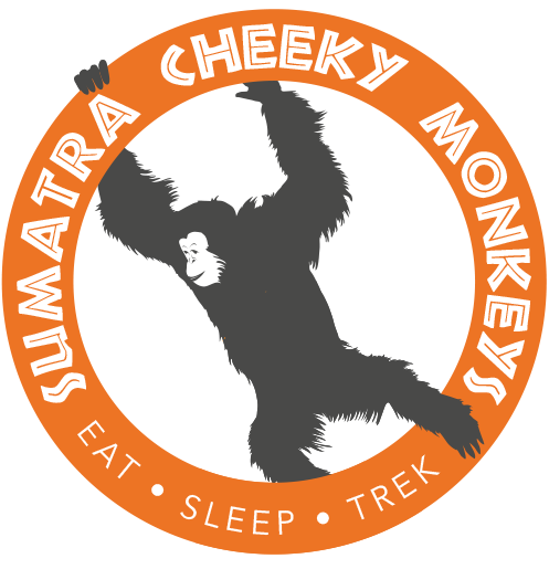 cheeky monkeys new - Sleep