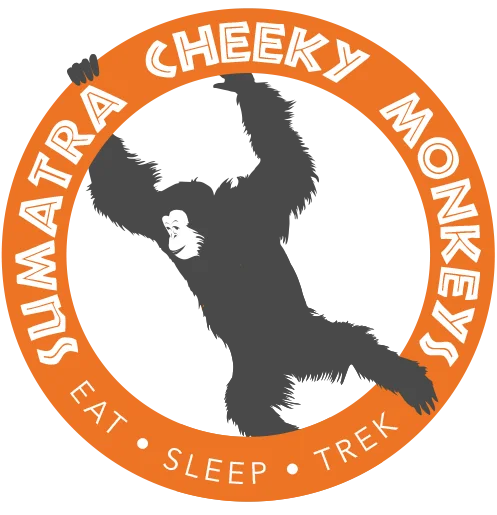 cheeky monkeys new